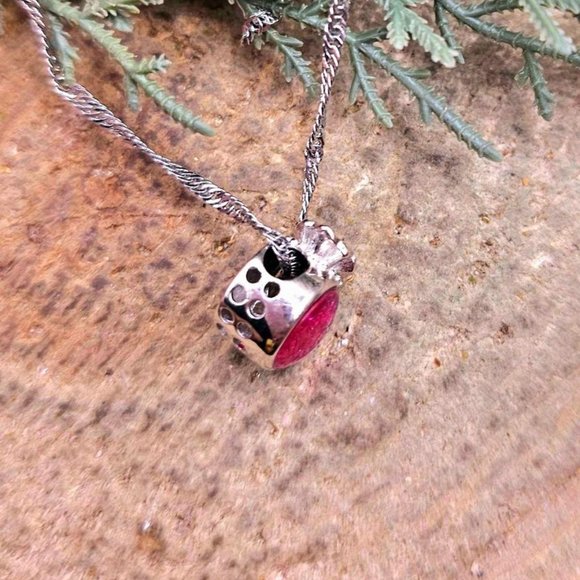 Genuine Nature Meteorite Blessing Coin Bag 925 Pendant Necklace. - Picture 8 of 10